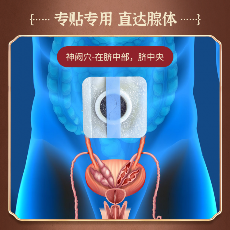 元炁固金保健贴