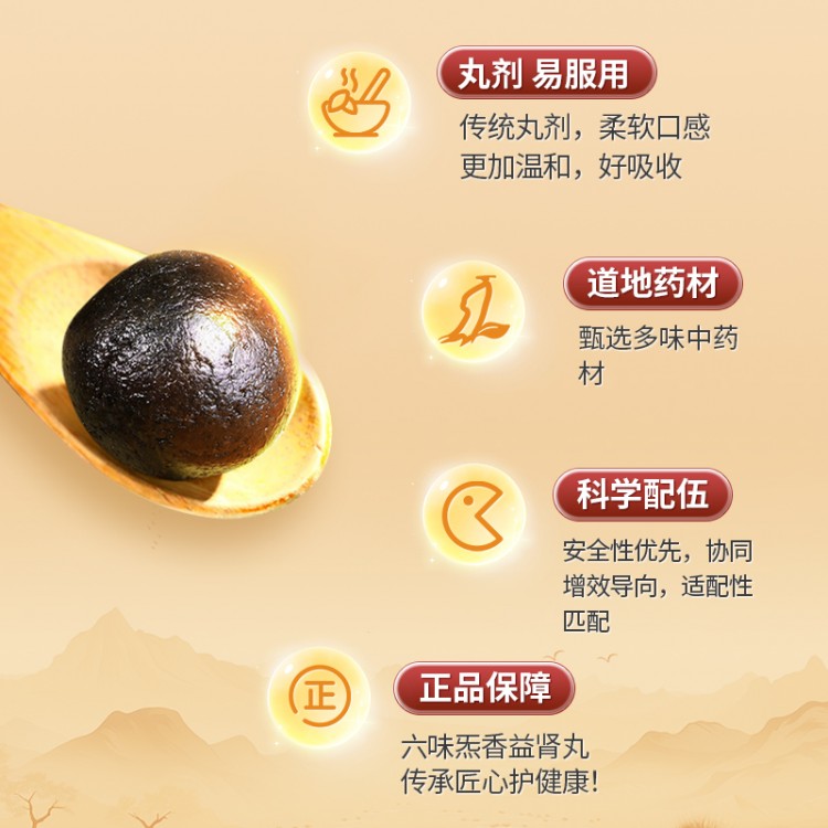 六味炁香益肾丸